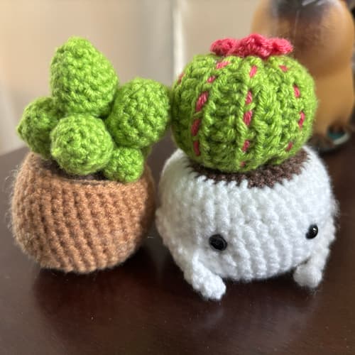 Cover Image for Crochet Succulent Ideas