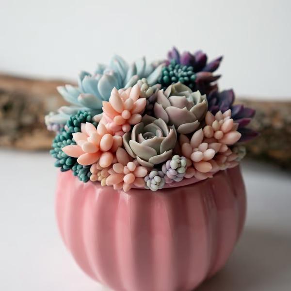 Cover Image for 4 Unique Gift Ideas for Succulent Lovers