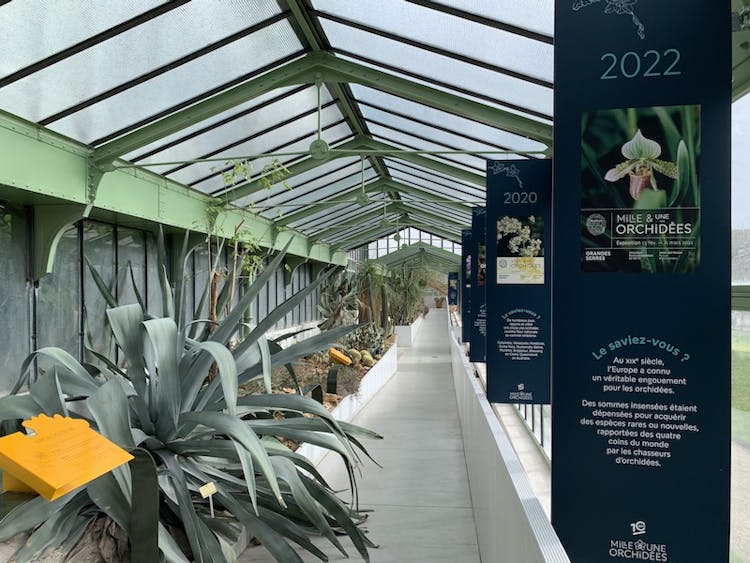 Cover Image for Succulent Greenhouse inside Jardin des Plantes (Paris, France)