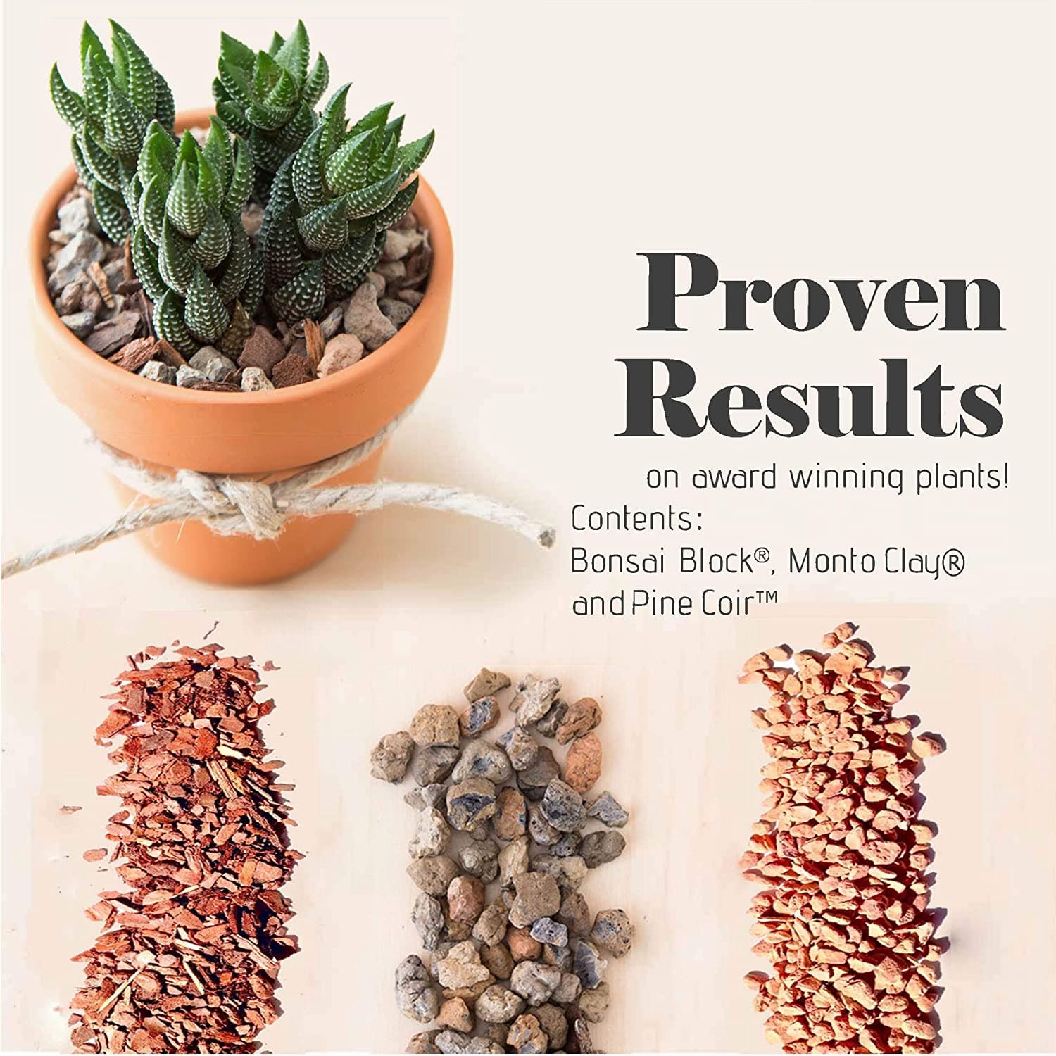 Cover Image for My Favorite Tools For Succulents