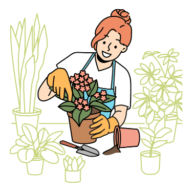 Cover Image for Succulent Care