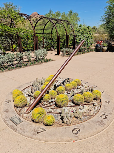 Cactus in Desert Botanical Garden in AZ