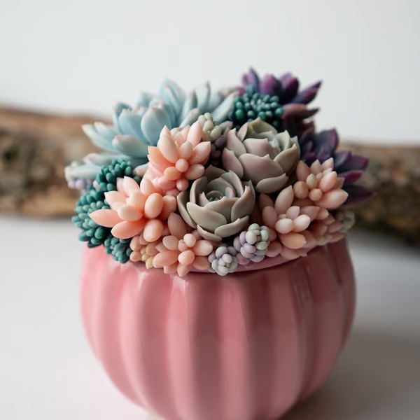 Polymer Clay Succulents