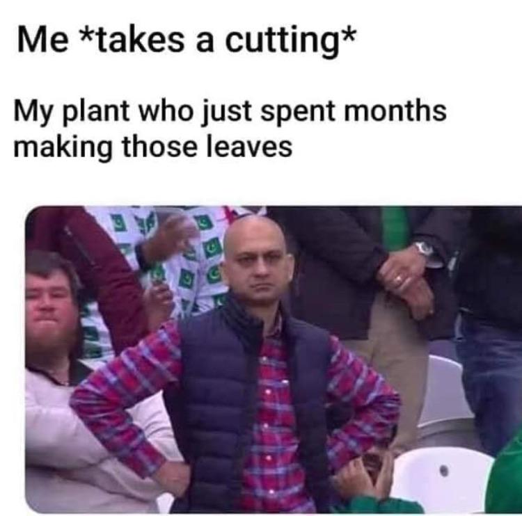 Me takes a cutting