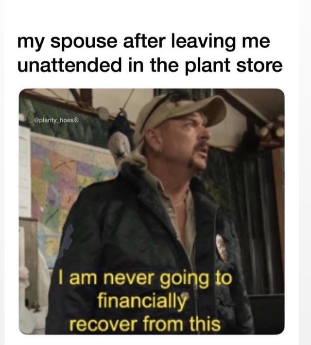 My spouse after leaving me unattended in the plant store