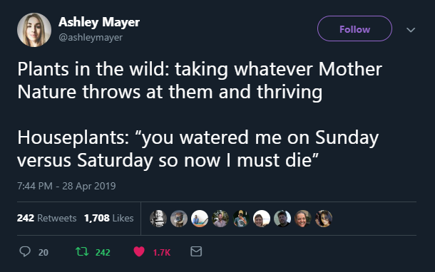 Houseplants: “you watered me on Sunday versus Saturday so now I must die”