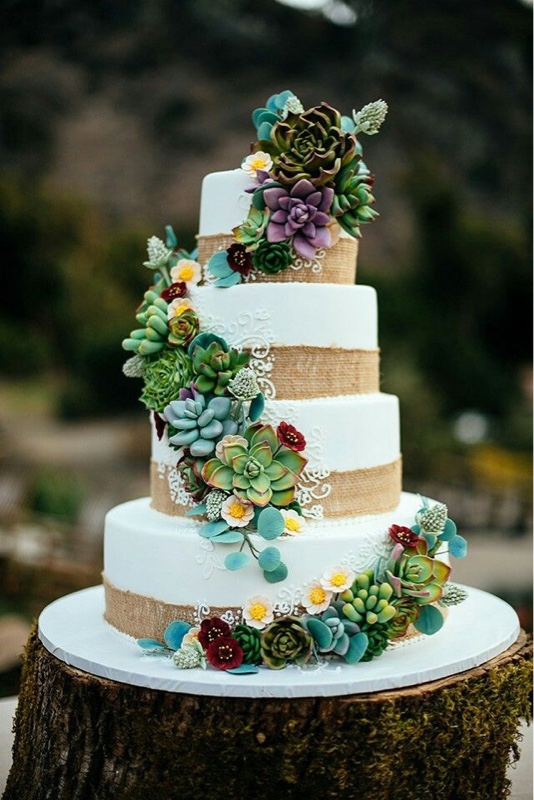 Succulent decorated cake