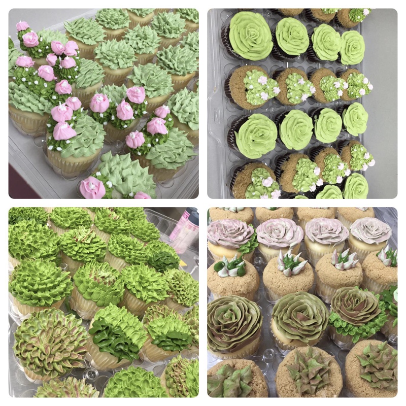 Succulent cupcakes