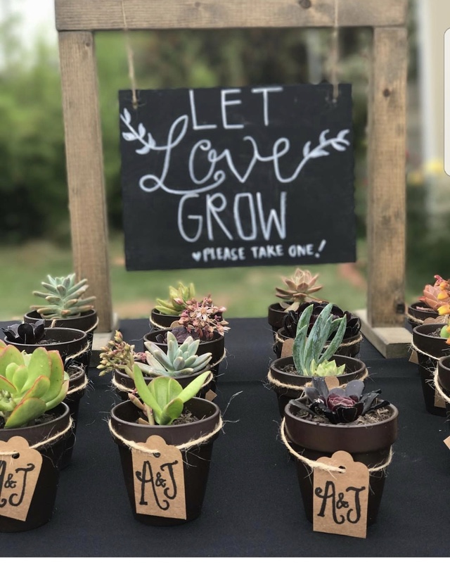 Succulent Wedding Favors