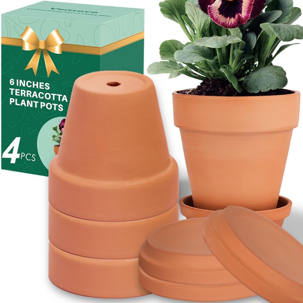 6 Inch Clay Pot for Plant with Saucer